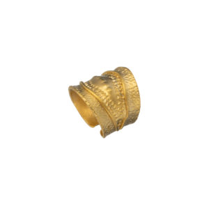 Ring-Bird