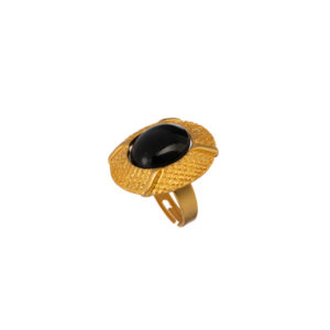 Ring-Black Bird