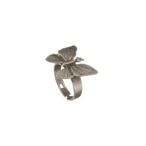 Ring-Butterfly