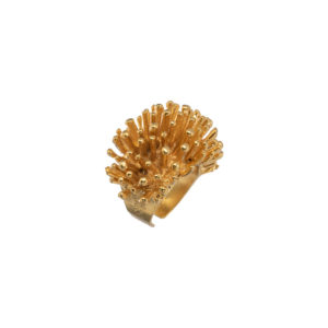 Ring-Hedgeho