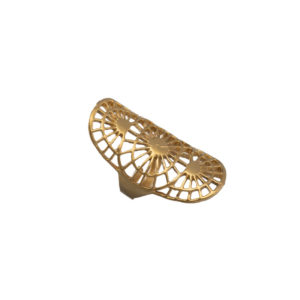 Ring-Holly