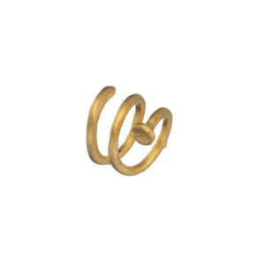 Ring-Luck