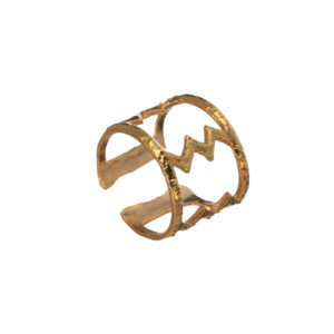 Ring-Night Summer