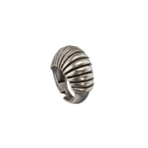 Ring-Snail