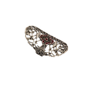 Ring-Spider Cherry